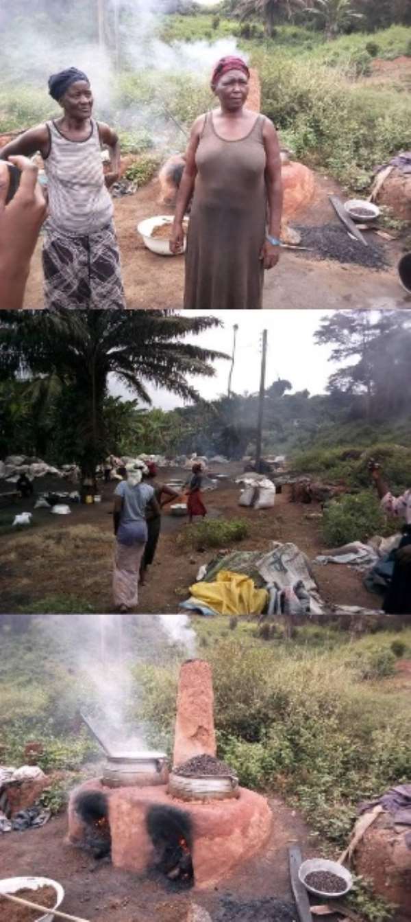 Palm Kernel Oil Producers Lament Over Market