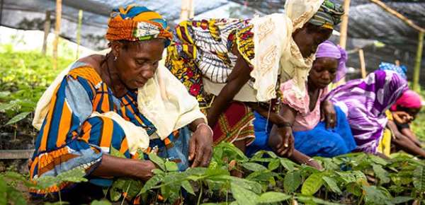 Nestlé Named UN Global Compact Lead Company