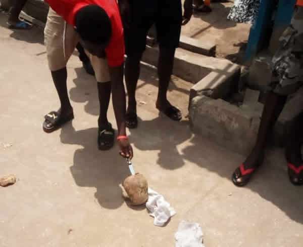 The skull believed to be human head