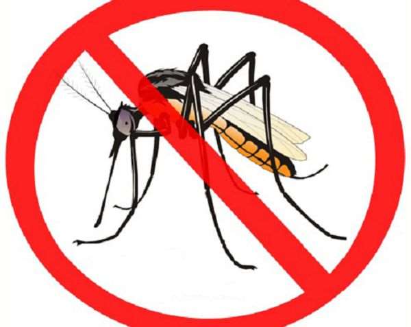 The Lancet: Malaria Can And Should Be Eradicated Within A Generation, Declare Global Health Experts