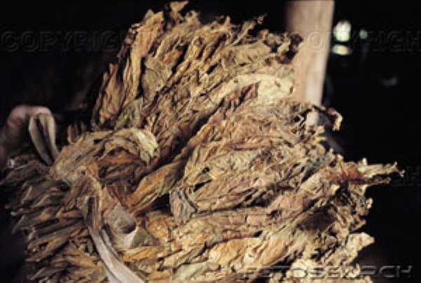 Say Yes To Life: Say No To Tobacco