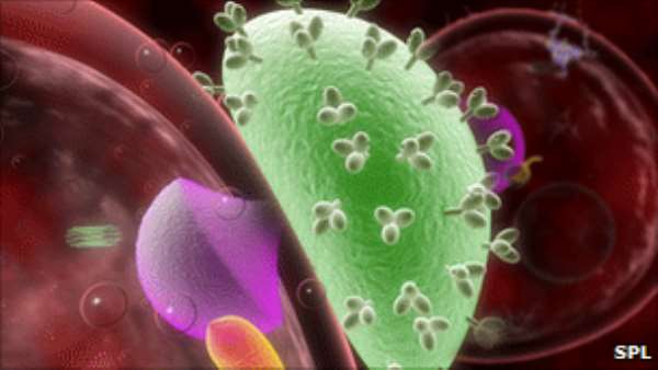Deathly friendship of bacteria and virus: TB-HIV co-infection