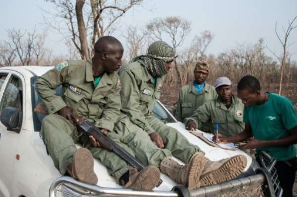 Researcher Martial Kiki (right) fills in data sheets with rangers during a lion population estimate at Nigeria's Yankari Game Reserve. By Stefan Heunis (AFP/File)