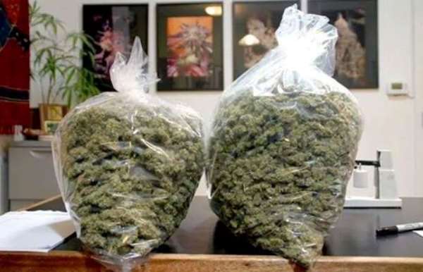UPP Welcomes The Legalisation Of Cannabis
