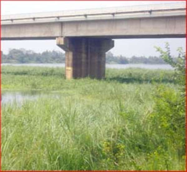 Aquatic weed infestation at Sogakope