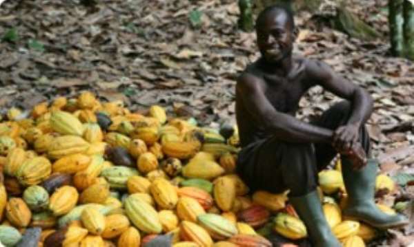 Armajaro inaugurates new cocoa warehouse