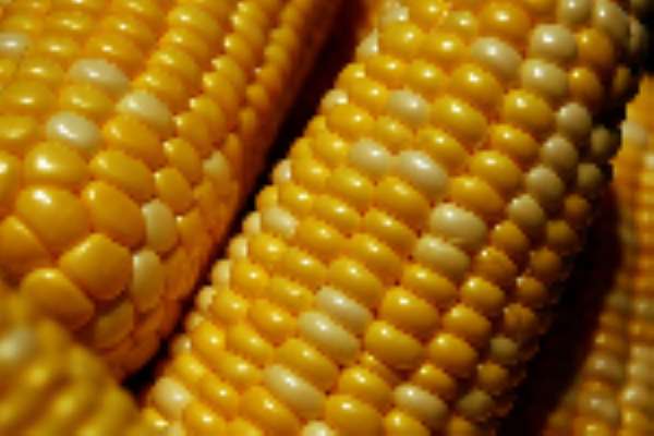 Most commodities hold steady