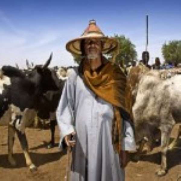 Daring The Nomads