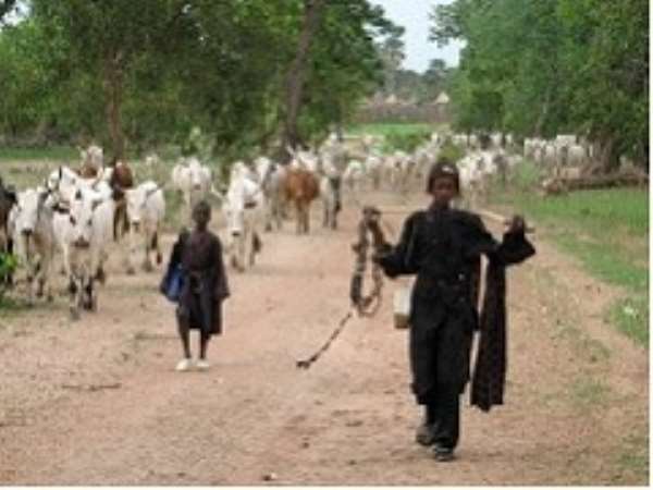 Who Are the Fulani People & Their Origins?