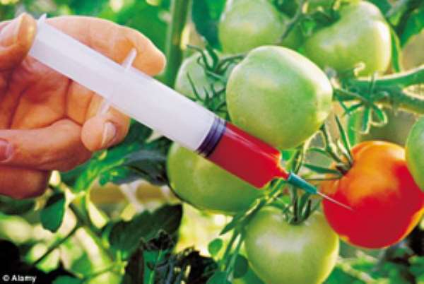 The ARIPO PVP Protocol Is A Tool For The Foreign Takeover Of Ghana's Agriculture