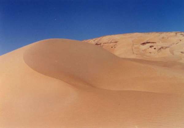 Wickedness Killed the Desert Ghanaians (5)