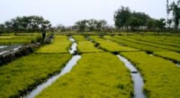 All Irrigational Facilities to be rehabilitated