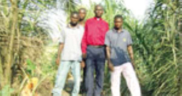 PASTOR CUTS WITCH TREE •Chiefs Chop ¢90m Free
