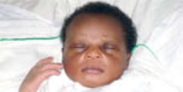 Baby Dumped•In Flower Pot