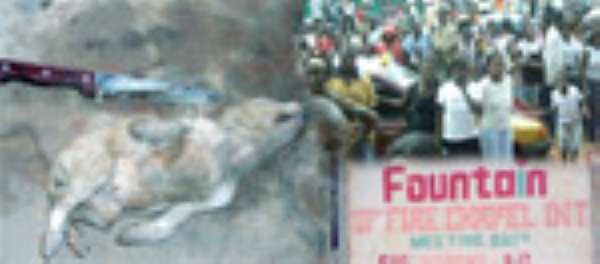 I Buried Dog Alive•Says Prophet Nti Boahen