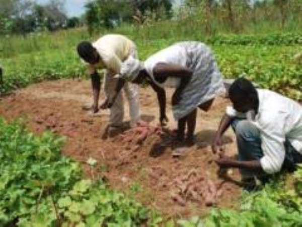 AGRA to help implement new G8 Global Partnership Initiative on Food Security