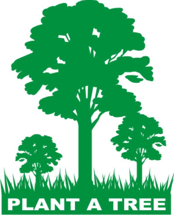 'For every baby born, plant a tree' - Chief tells his people
