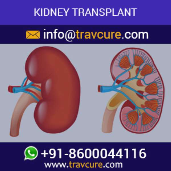 Kidney Transplantation
