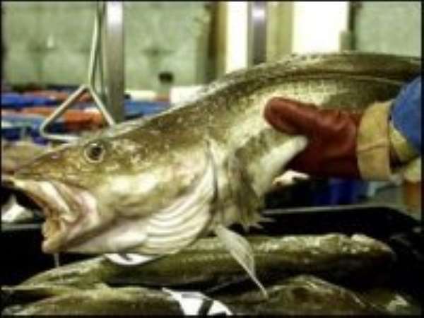 EU agrees on 2010 fishing limits