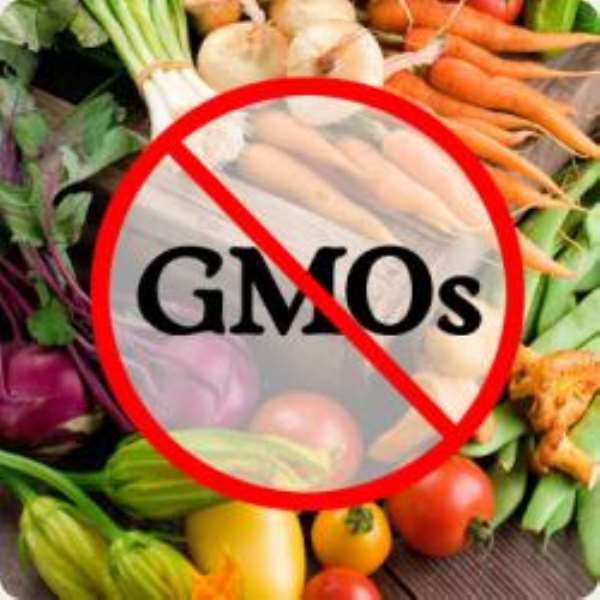 Ghana And Genetically Modified Technology: A Brewing Crisis—Part l