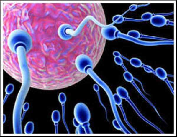 Chemicals responsible for low sperm quality