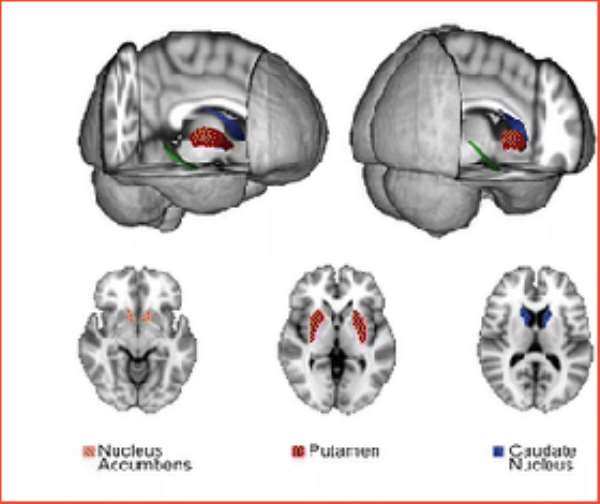Video game success may be in the mind, study finds