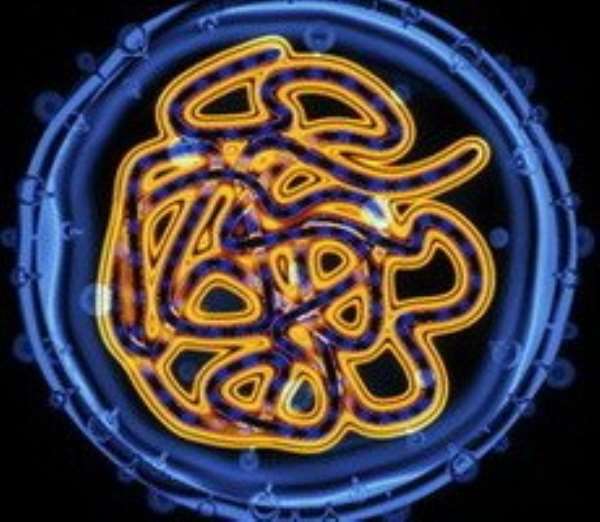The scientists devised a vaccine which would target the