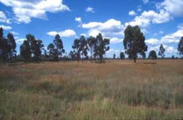 Chief initiates land re-demarcation exercise