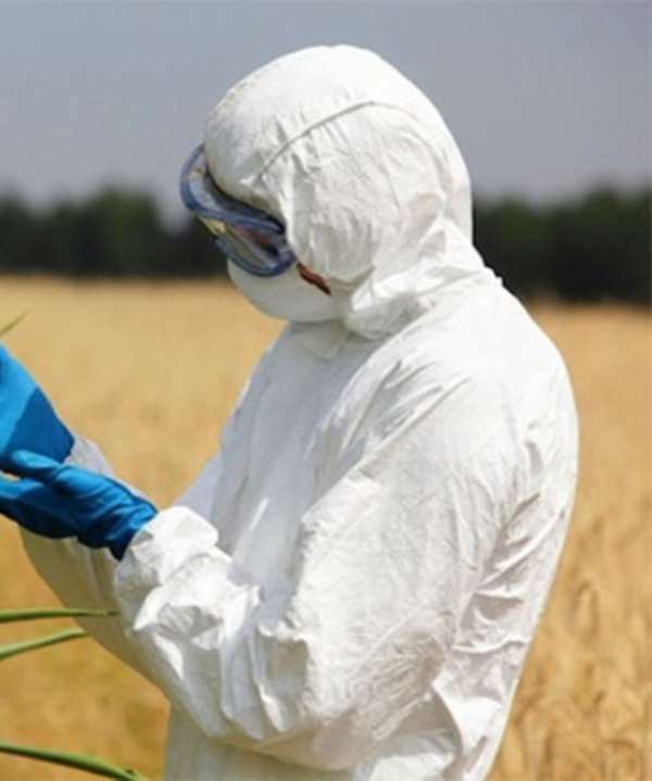 The Spiritual Understanding Of Epidemics And Pandemics: The Ebola Health Crisis As Case Study