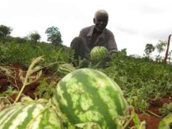 Post-Harvest Loss In Watermelon And Tomatoes In Northern Ghana: A Case Of Seasonal Glut Or Market System Failure?