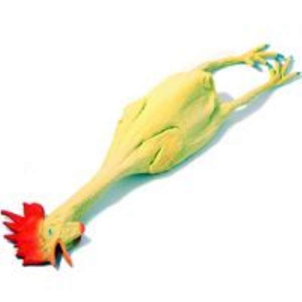 Northern Regional Bird Flu Taskforce kills two thousand birds
