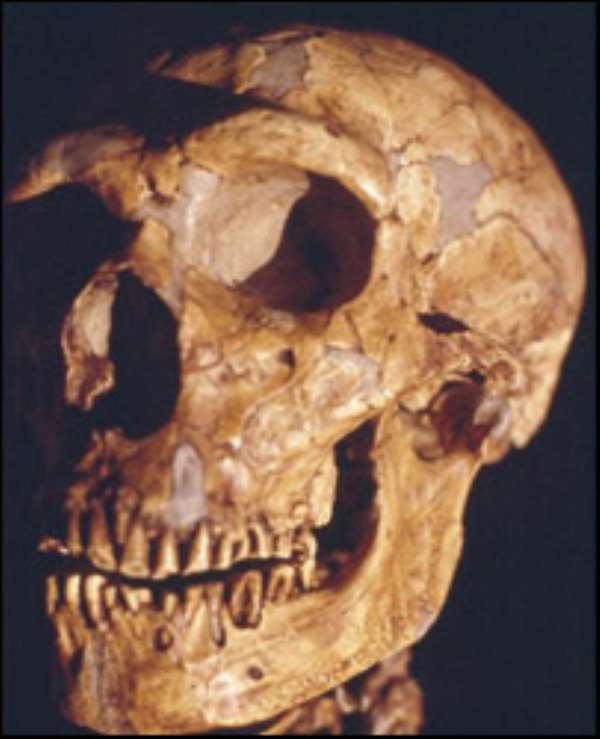 Tooth gives up oldest human DNA