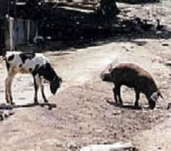 Two farmers fined for obstruction