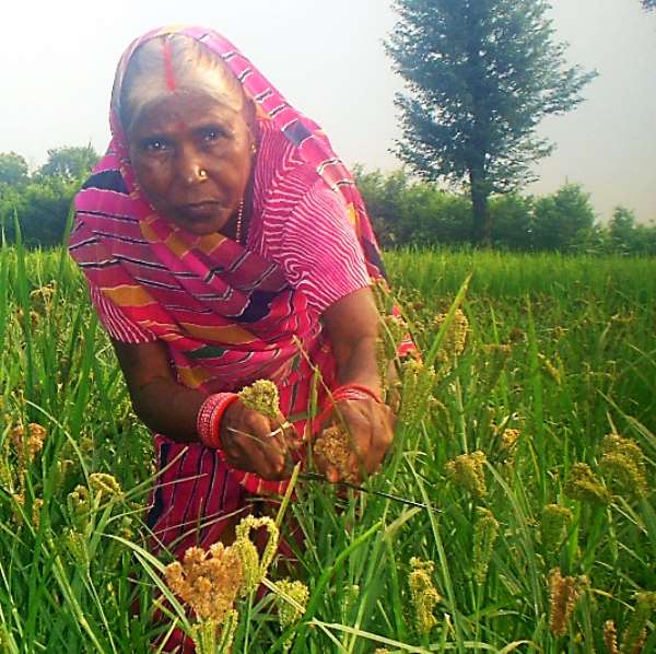 Where There Is A Will There Is A Way: Teeja Devi