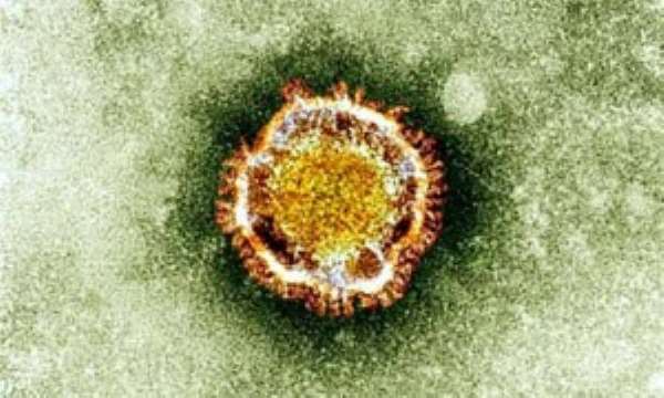 Corrupt Propositions: AstraZeneca, Public Institutions and the Coronavirus Vaccine Drive