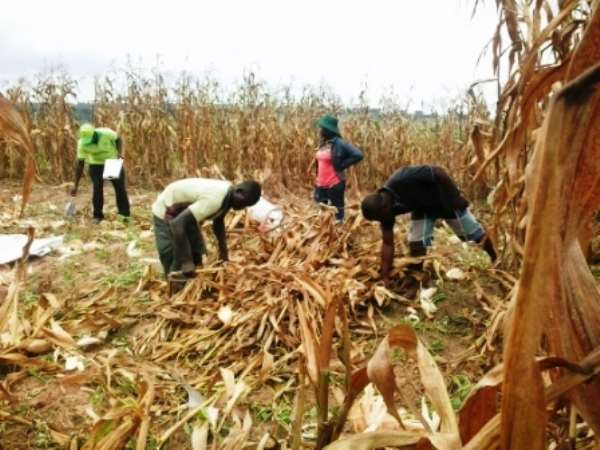 AGRICOOP Legal Consultant Wants Special Priority For Agriculture Co-Operatives