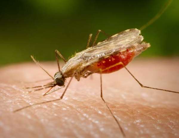 Ghana rolls out two vaccines against childhood pneumonia and diarrhoea