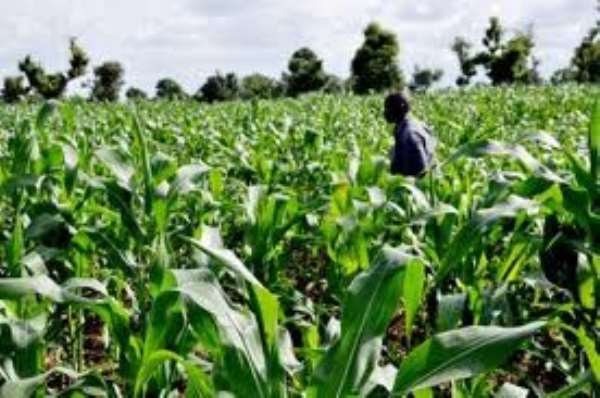 Bongo: Agriculture Activities Affected Due To Lack Of Good Bridges