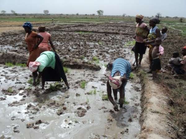 Obuasi East: 65-Year-Old J.B. Tanzienye Adjudged 2019 District Best Farmer