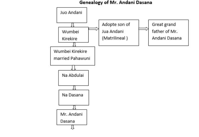 The Genealogy Of Bimbilla Naa Alhaji Salifu Dawuni