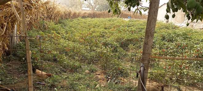 412202223917-vbrduhgtsn-20220221105401