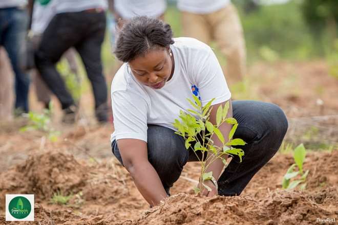 A Call For A National Tree Planting Day And A Mans Journey To Plant 20