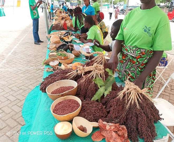 Two NGOs organize indigenous Seed Fair in Upper East Region