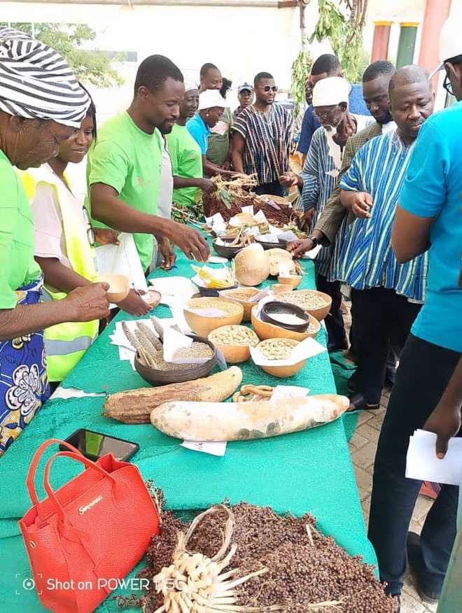 Two NGOs organize indigenous Seed Fair in Upper East Region