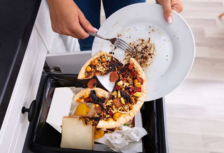 1016202425956-0f738m3yxs-food20waste20bin20pizza