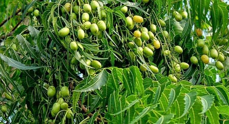 10212017125406 image003