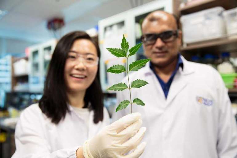 10212017125406 image004