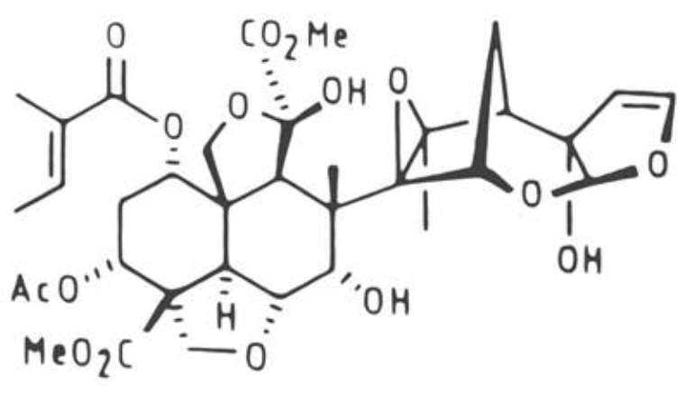 10212017125406 image005
