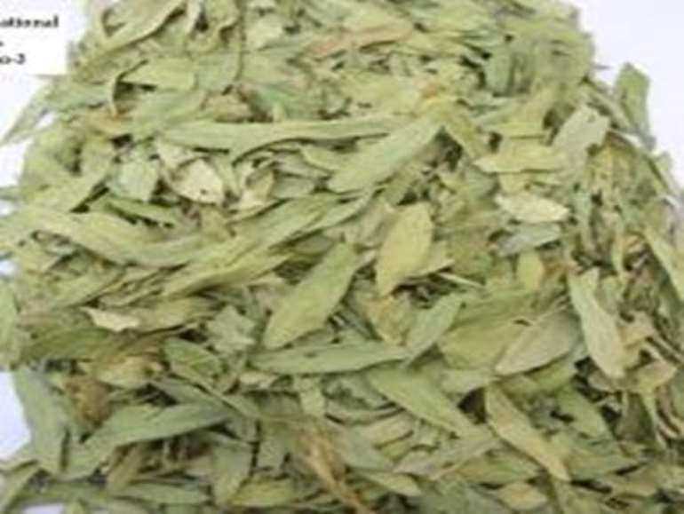 10212017125406 image006