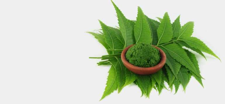 10212017125406 image007